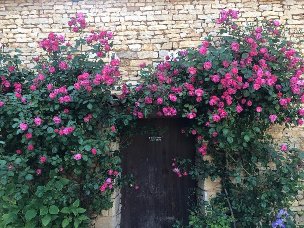 Blacksmiths Cottage In Blanzay - 3 Beds 외부 사진